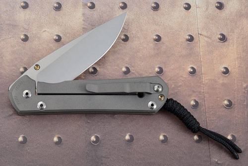3810 Chris Reeve Large Sebenza 21 Unique Graphics Tanked фото 9