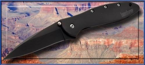 5891 Kershaw Leek - 1660CKT фото 2